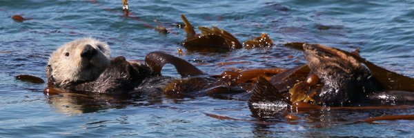 MarkConwayUK Profile Banner