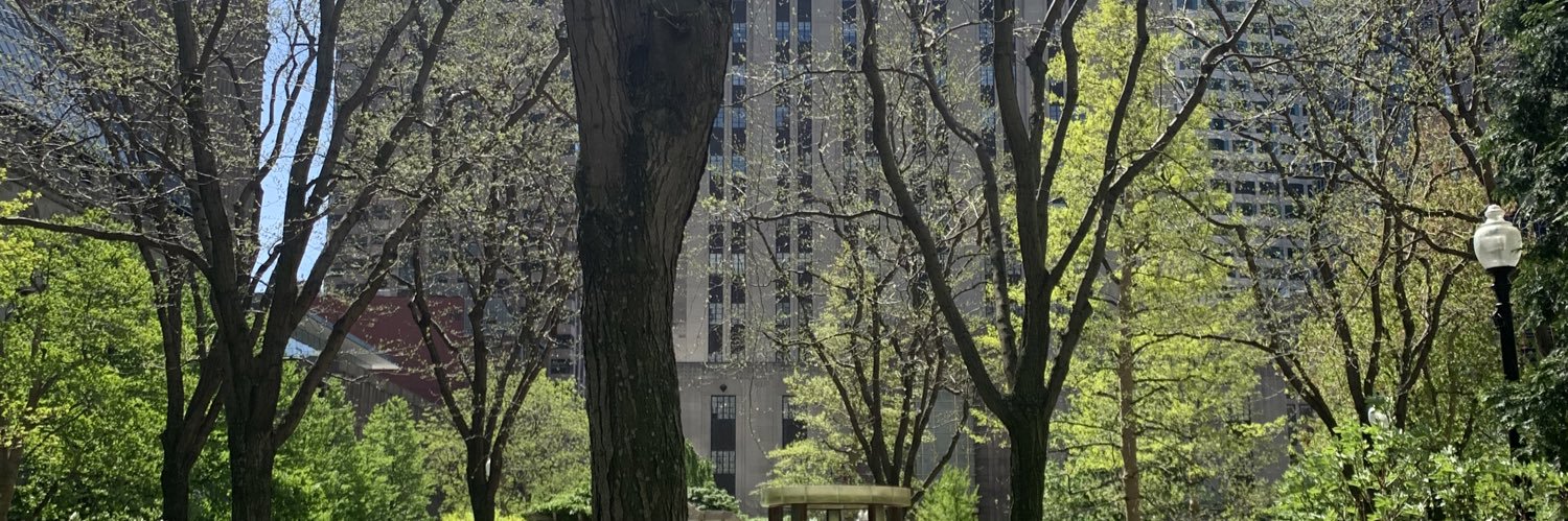 Matthew Broude banner