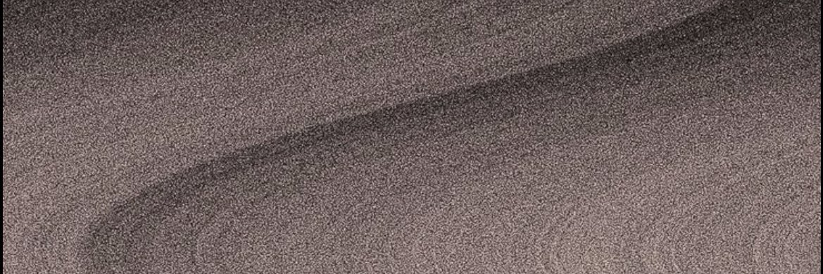 BradshawZoe's profile banner image