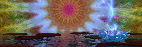 TRIPPVR Profile Banner
