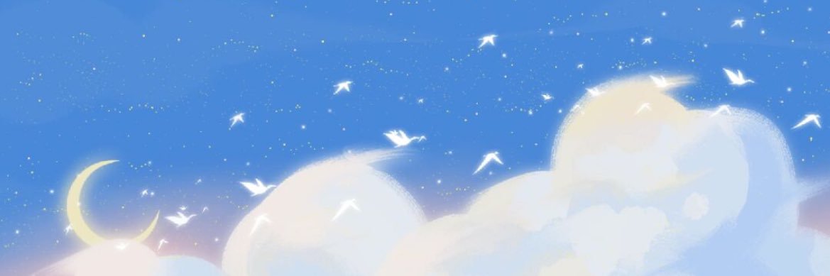 Christy banner