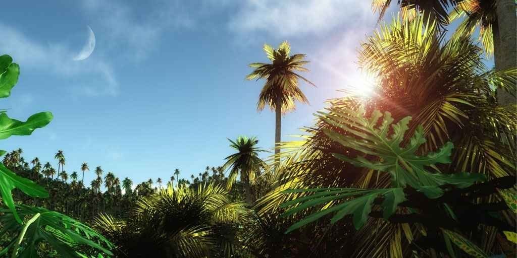 Mgfiki's profile banner image