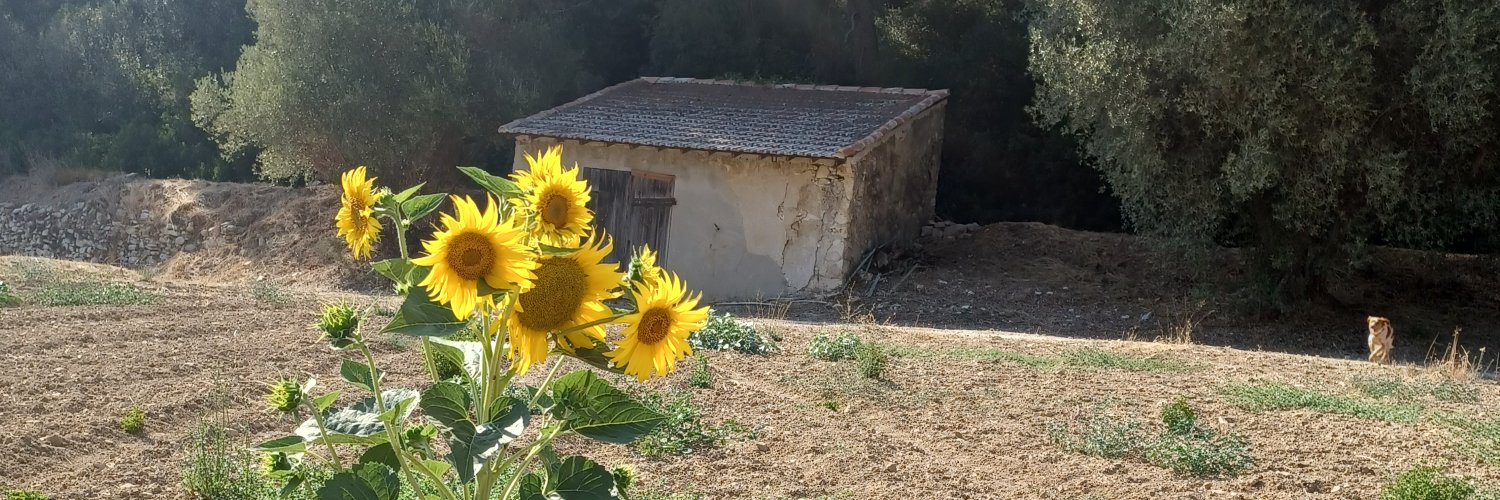 🦂matrix2218🦂💘💘 banner