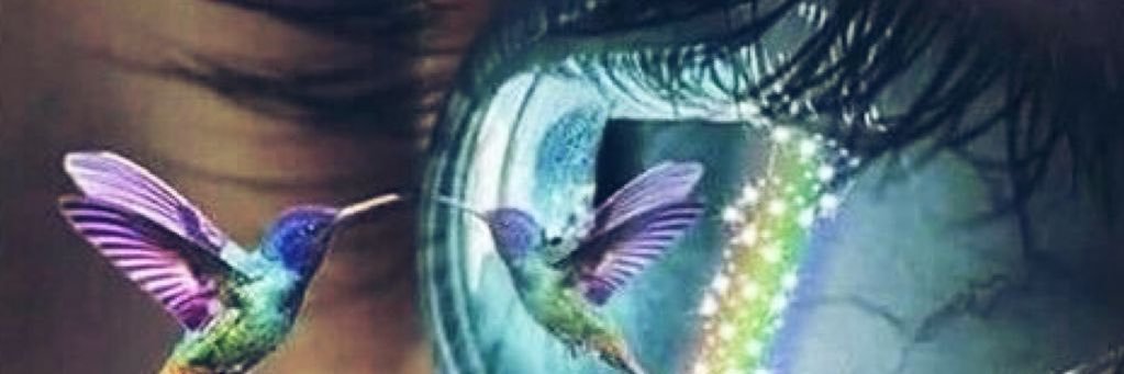 MeganSA's profile banner image