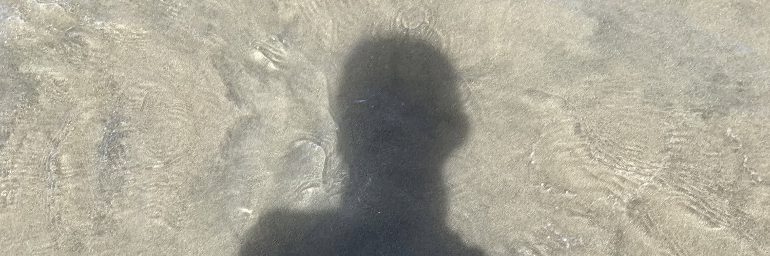 ladricor's profile banner image