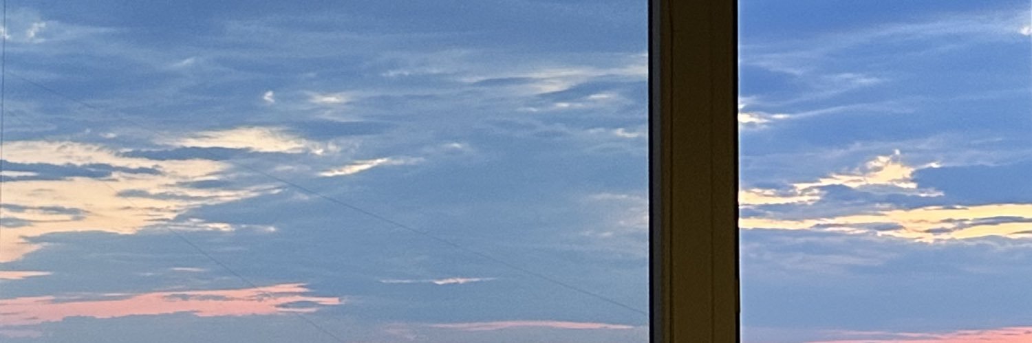 anicka⋆˙⟡ banner