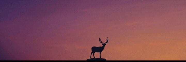 Rzkysdptr's profile banner image