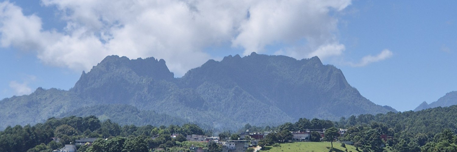 GuadalupMarquez's profile banner image