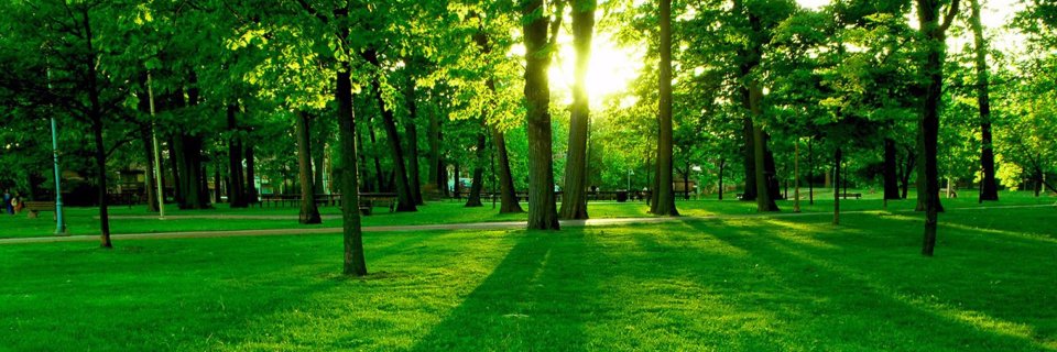 Green_U_org's profile banner image
