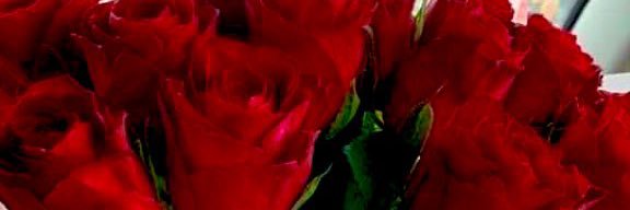 perfumenight123's profile banner image