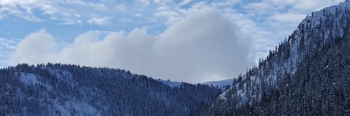 NelleRob89's profile banner image