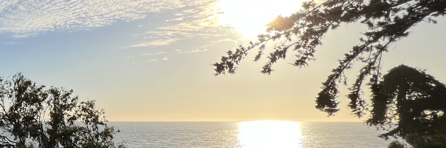 codyfofficial's profile banner image