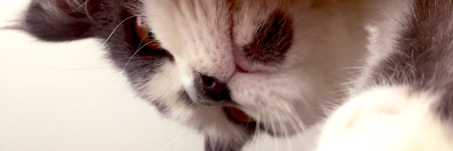 Yedhah's profile banner image