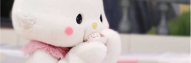 S banner