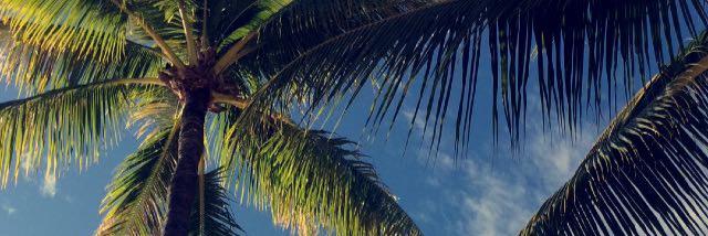 Biebergirrrl's profile banner image