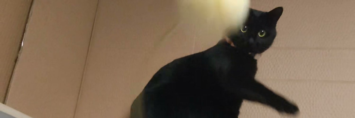airdropdaisuki's profile banner image