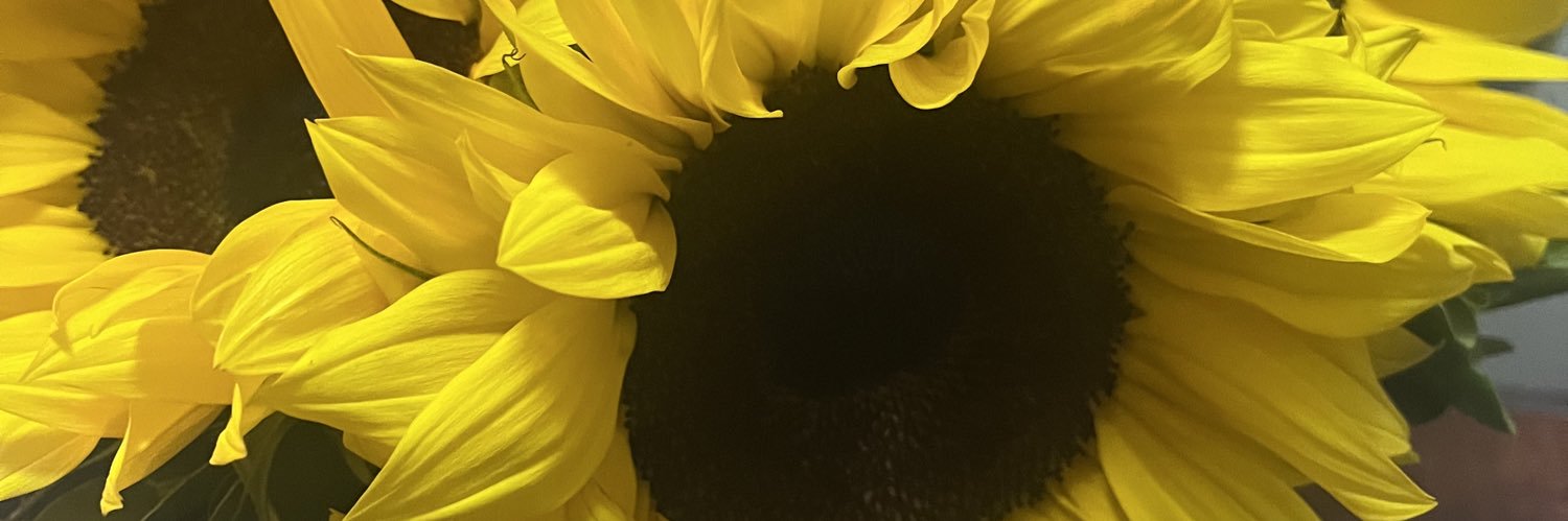 ericcoronita's profile banner image