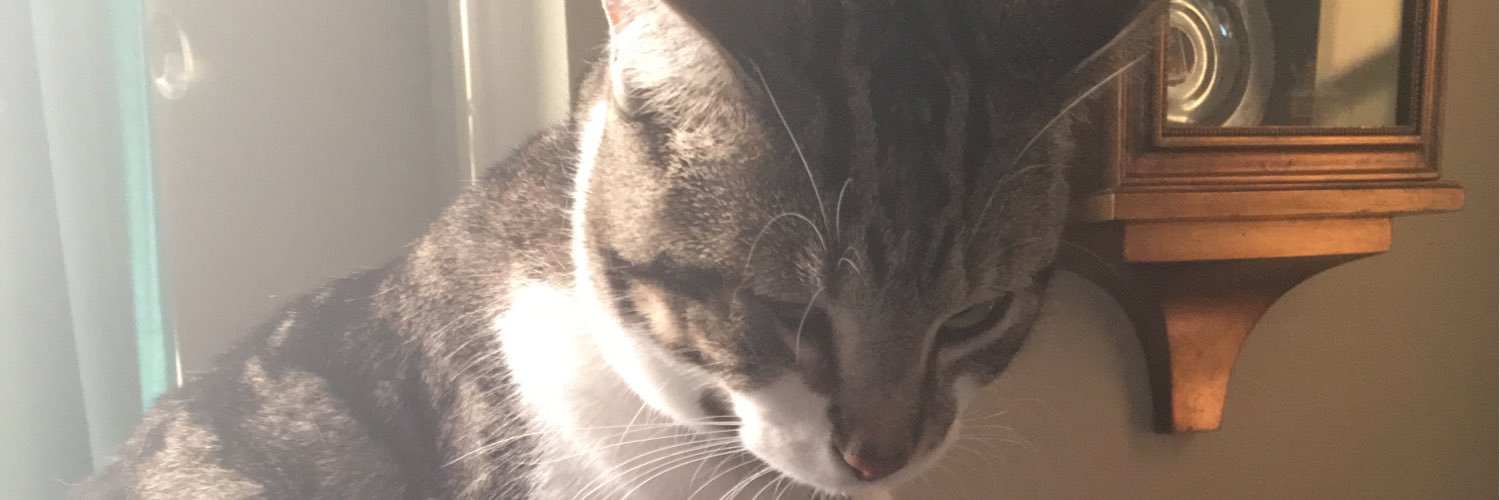 carlsonmec's profile banner image