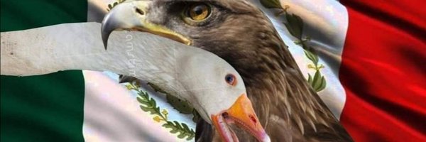 MaximusCentauro Profile Banner