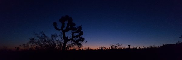 max_jaffe Profile Banner