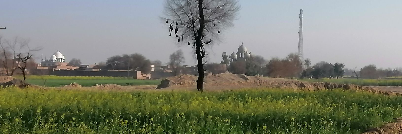 𝐁𝐚𝐬𝐞 𝐋𝐞𝐞 banner