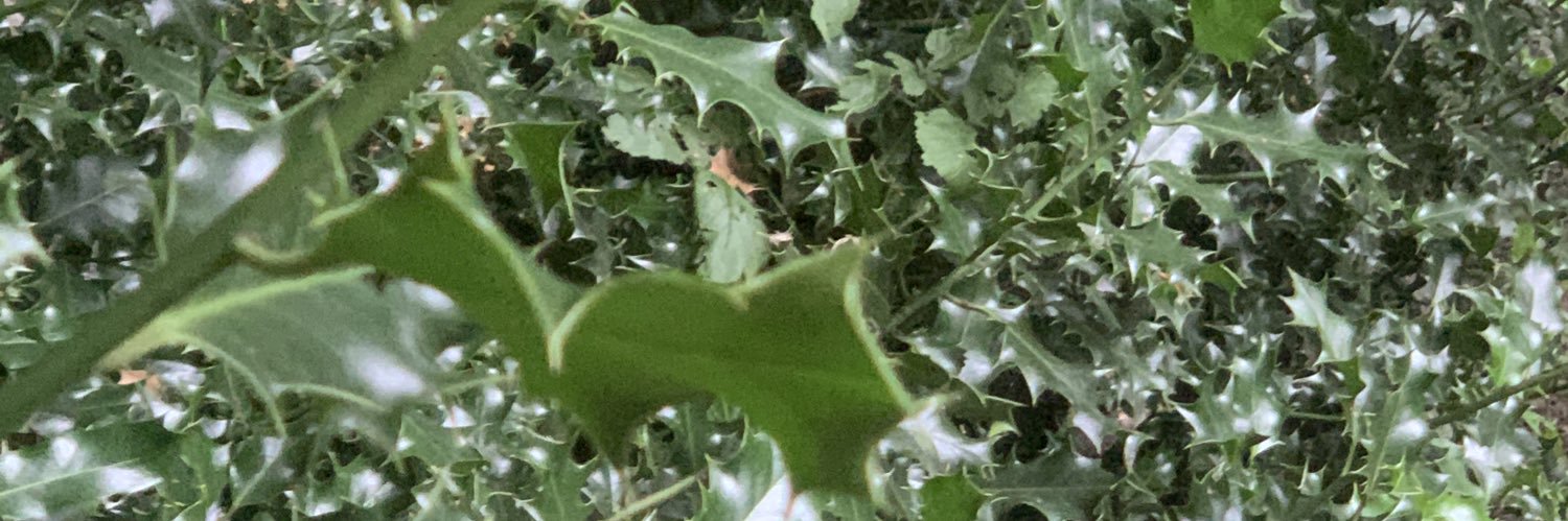therealjayejay's profile banner image