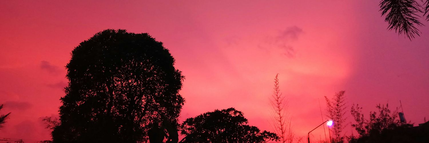 nissacil's profile banner image