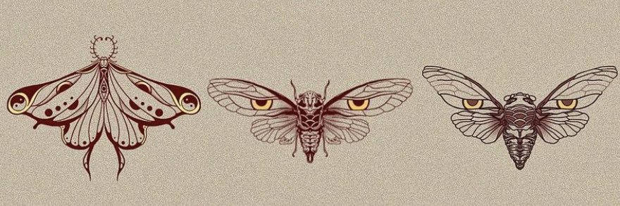 athvadar's profile banner image