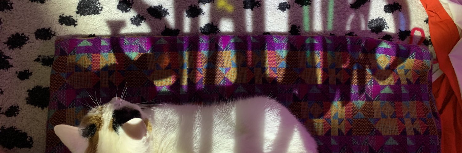 isy_snap's profile banner image