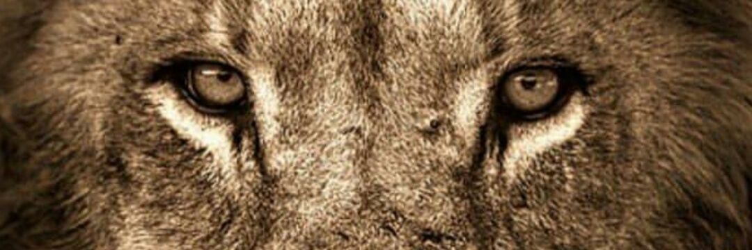 Sergio_AC14's profile banner image