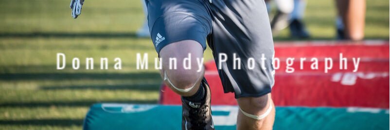 Donna Mundy banner