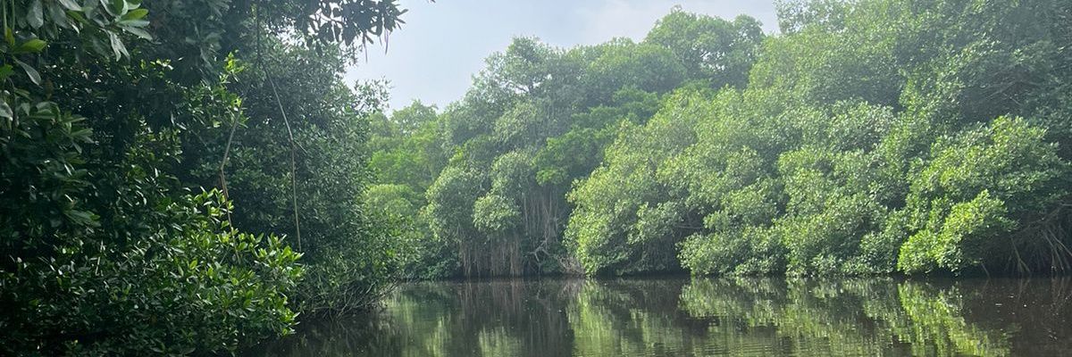 Raúl Yépez 🇲🇽 banner