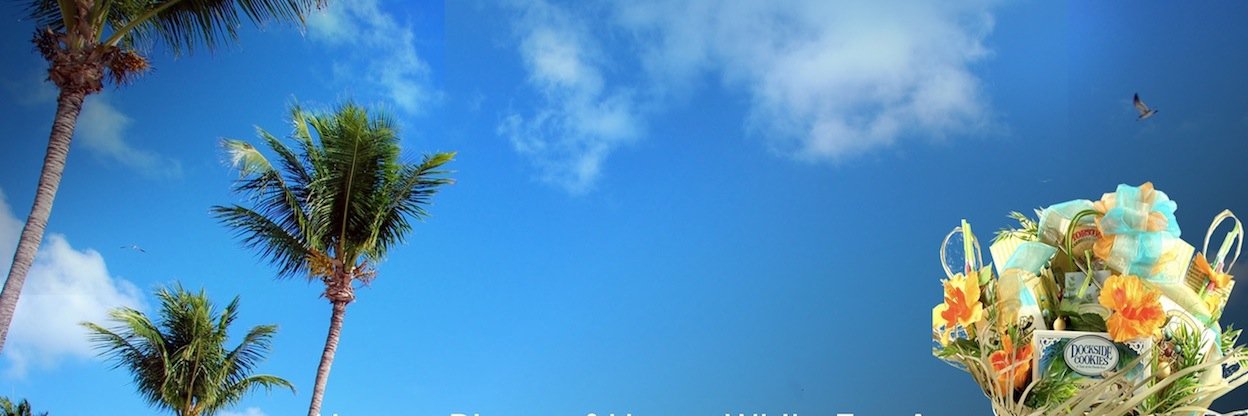 PiecesOfThere's profile banner image