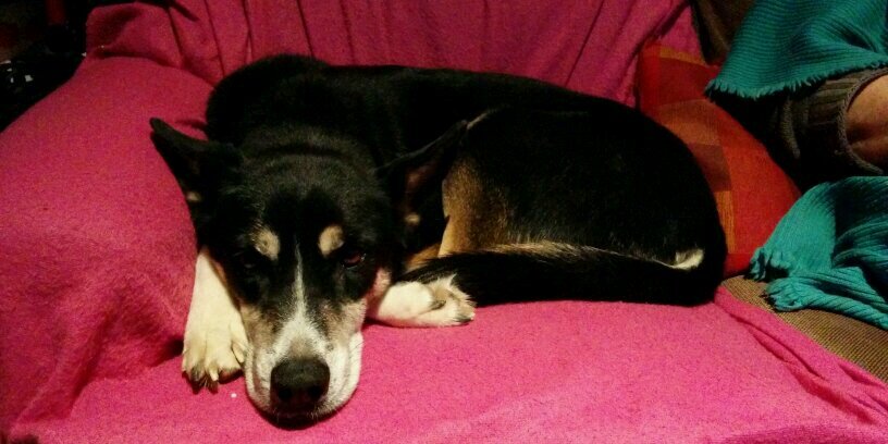 andreatrb's profile banner image