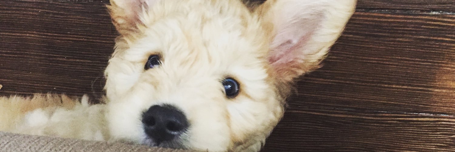 taylorvbowen's profile banner image