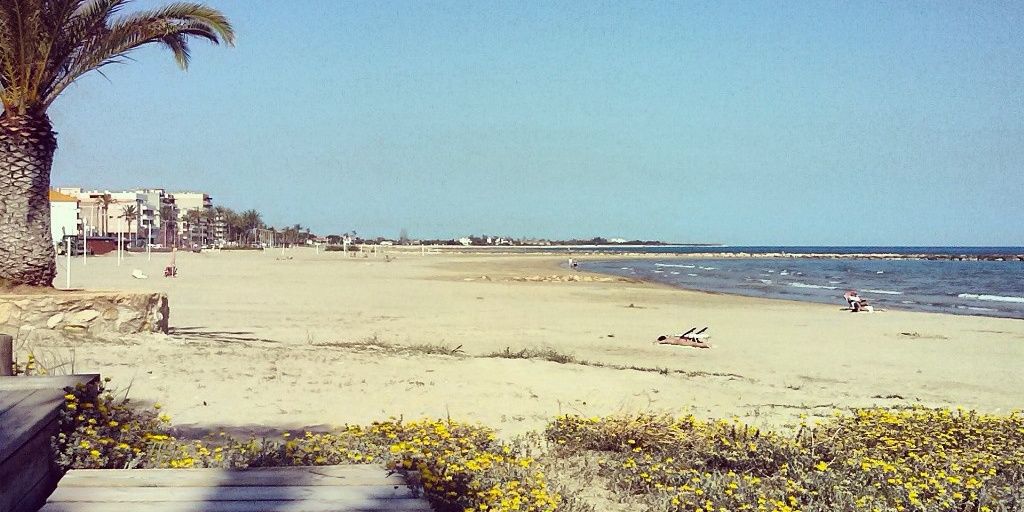 Sandra Albert banner