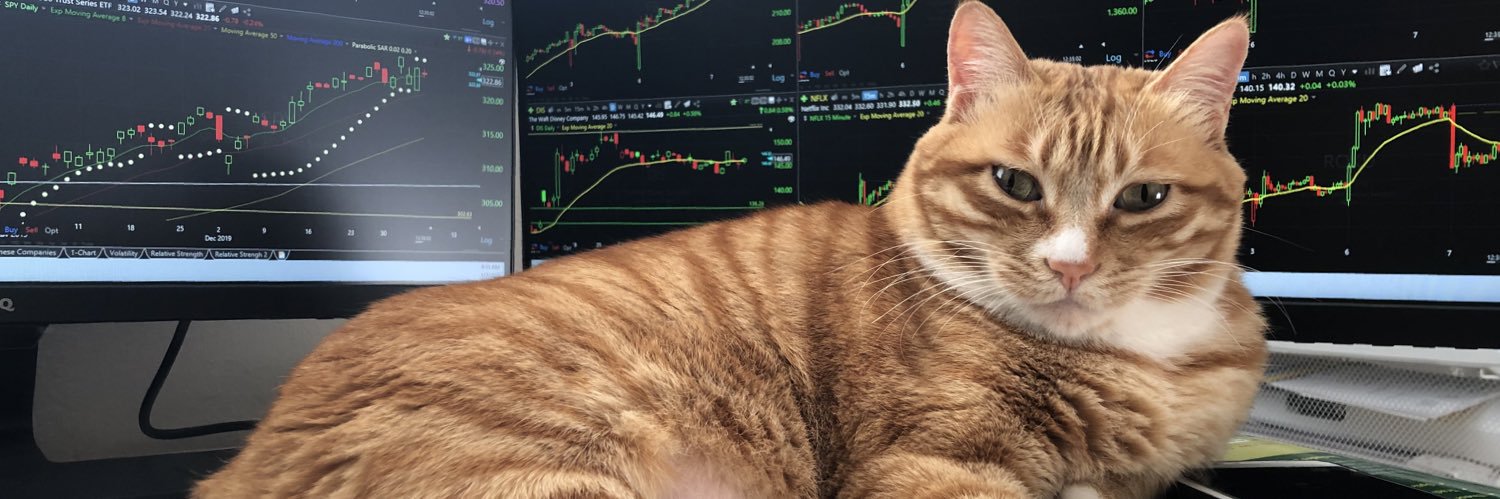 QinWilson's profile banner image