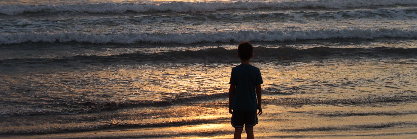 Kristina 🐩🌊🌊#VoteBlue2024 Down the ballet! banner