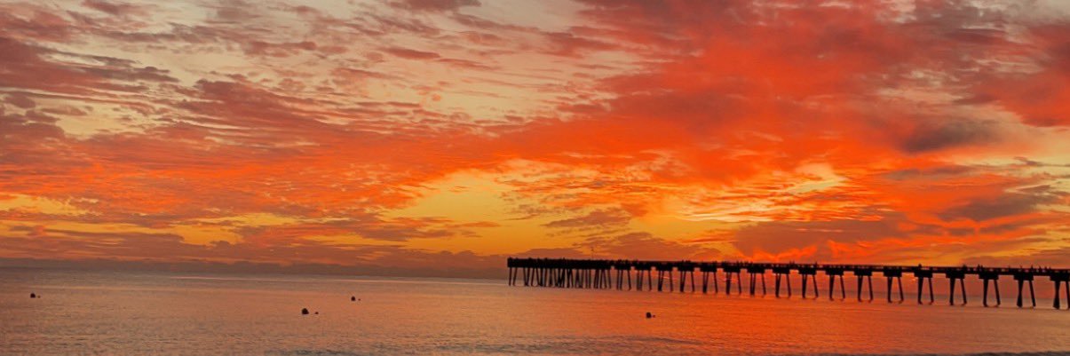 AlisonObst's profile banner image