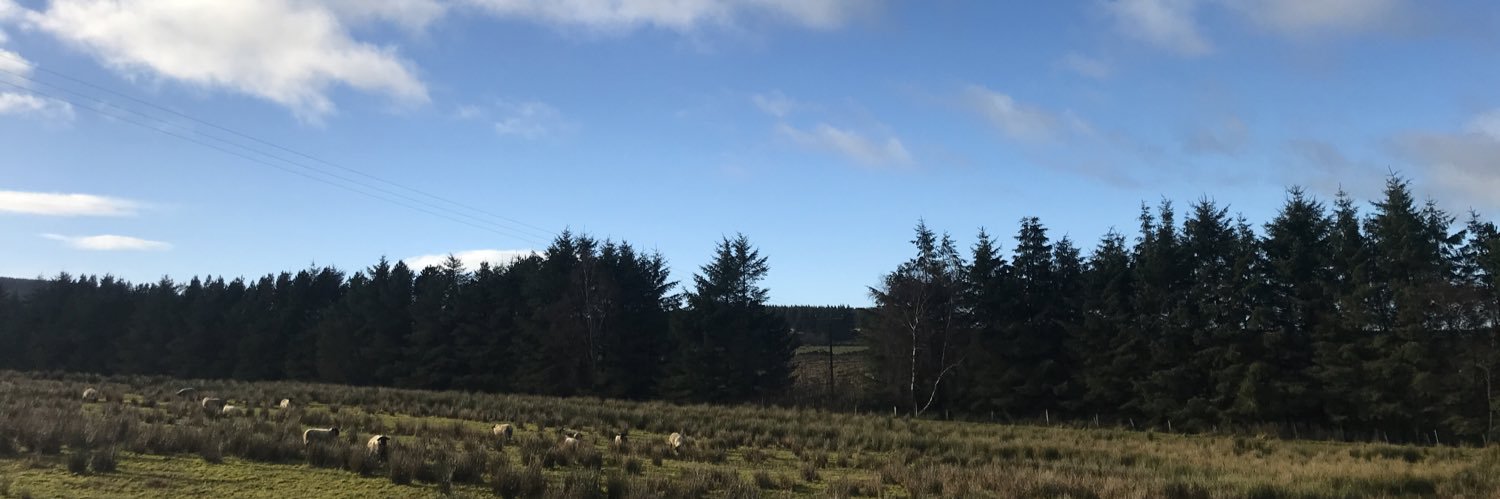 Suzie McAneney banner