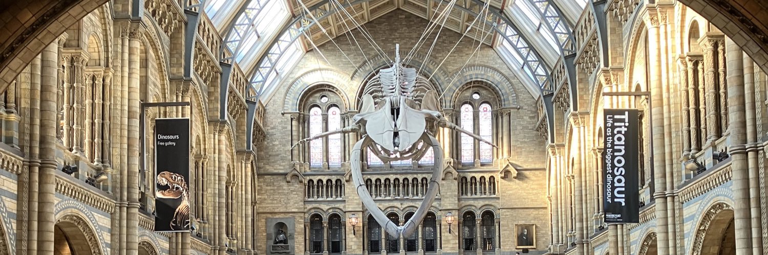 Marcus Oh-really-Yes banner