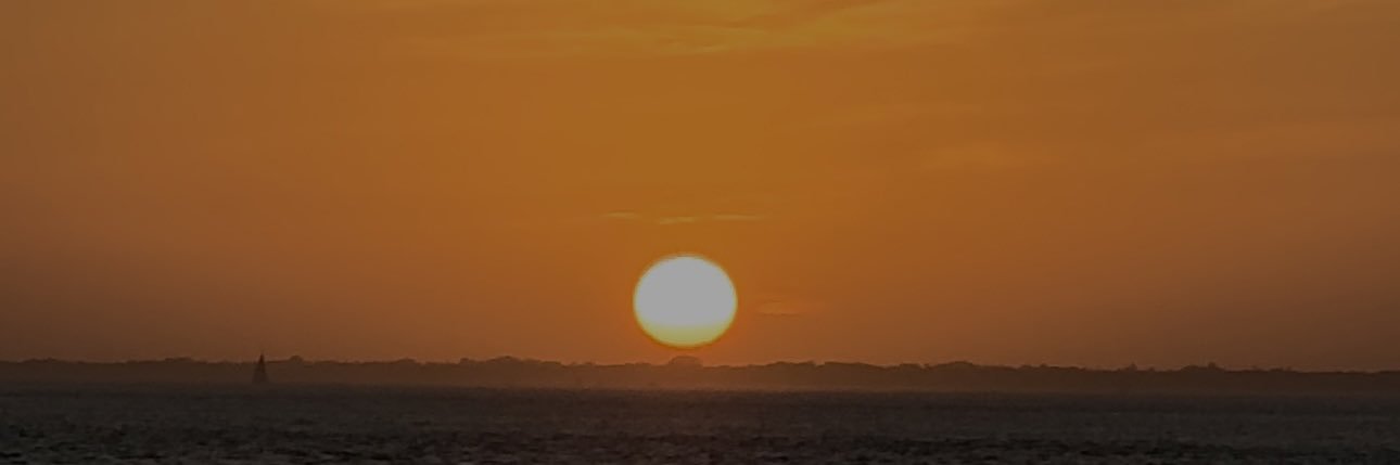 TatumMinier's profile banner image
