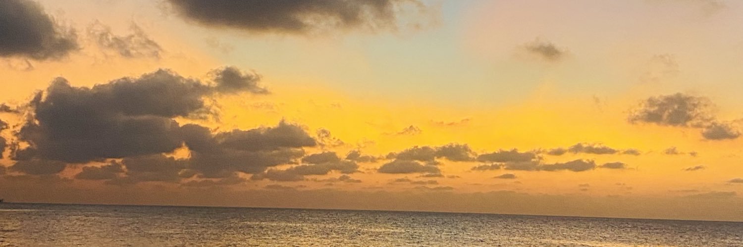 Nemy Muad’Dib Usul banner