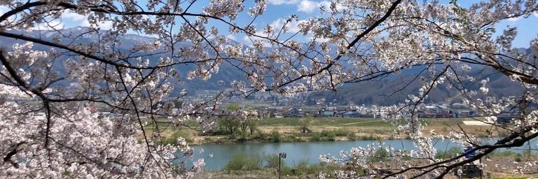 Nicole Mather banner