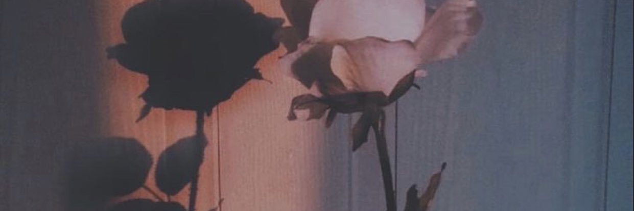 İlayda Şaşmaz banner