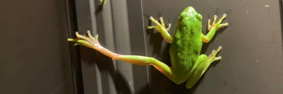 huggerderek's profile banner image
