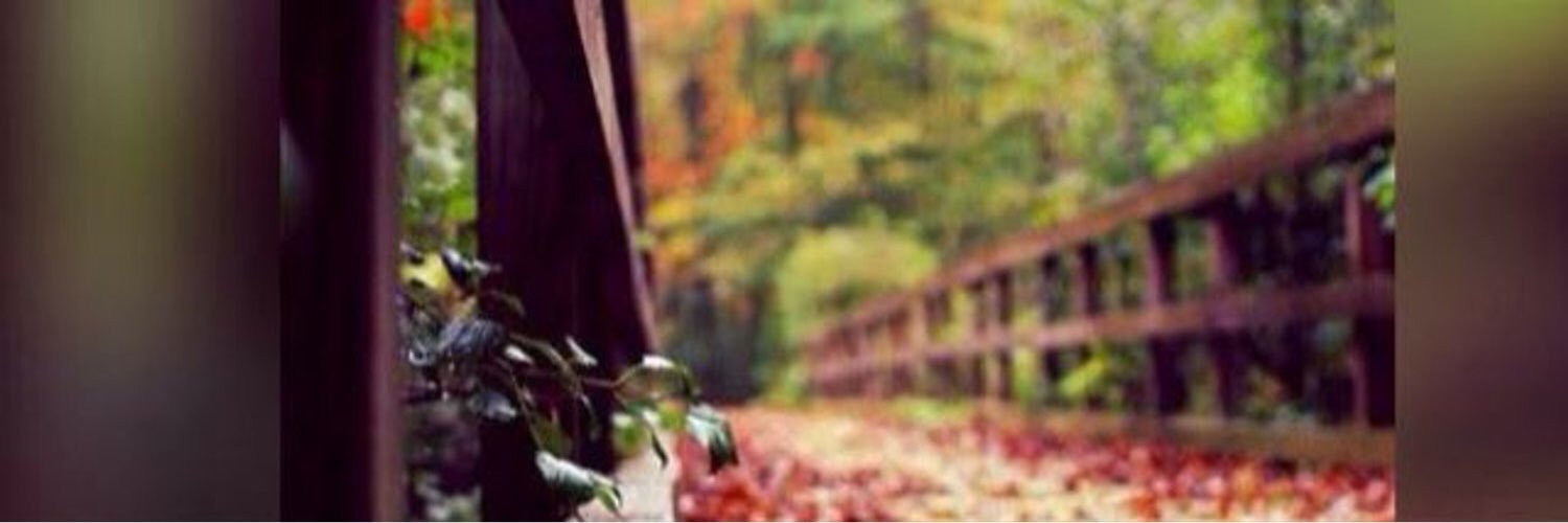Fnoo98's profile banner image