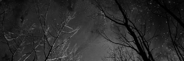 nxrd0000's profile banner image