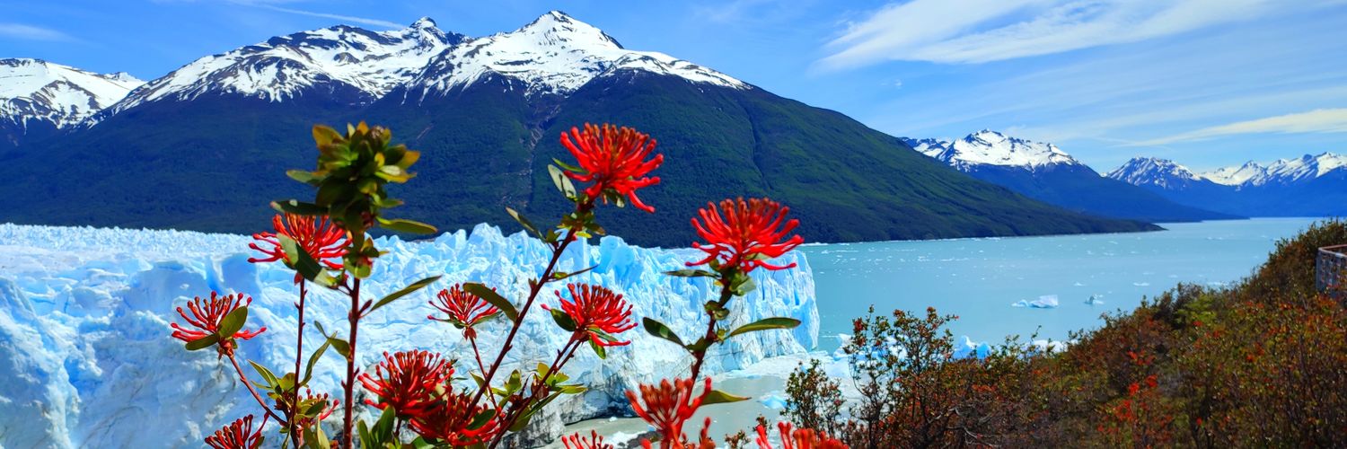 Jaime Osuna Luque banner