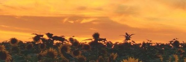 Lessoliem Profile Banner